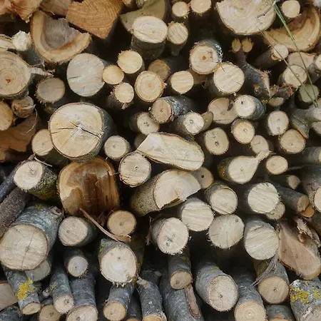 Semesterbostad Casa Dei Moch Belluno